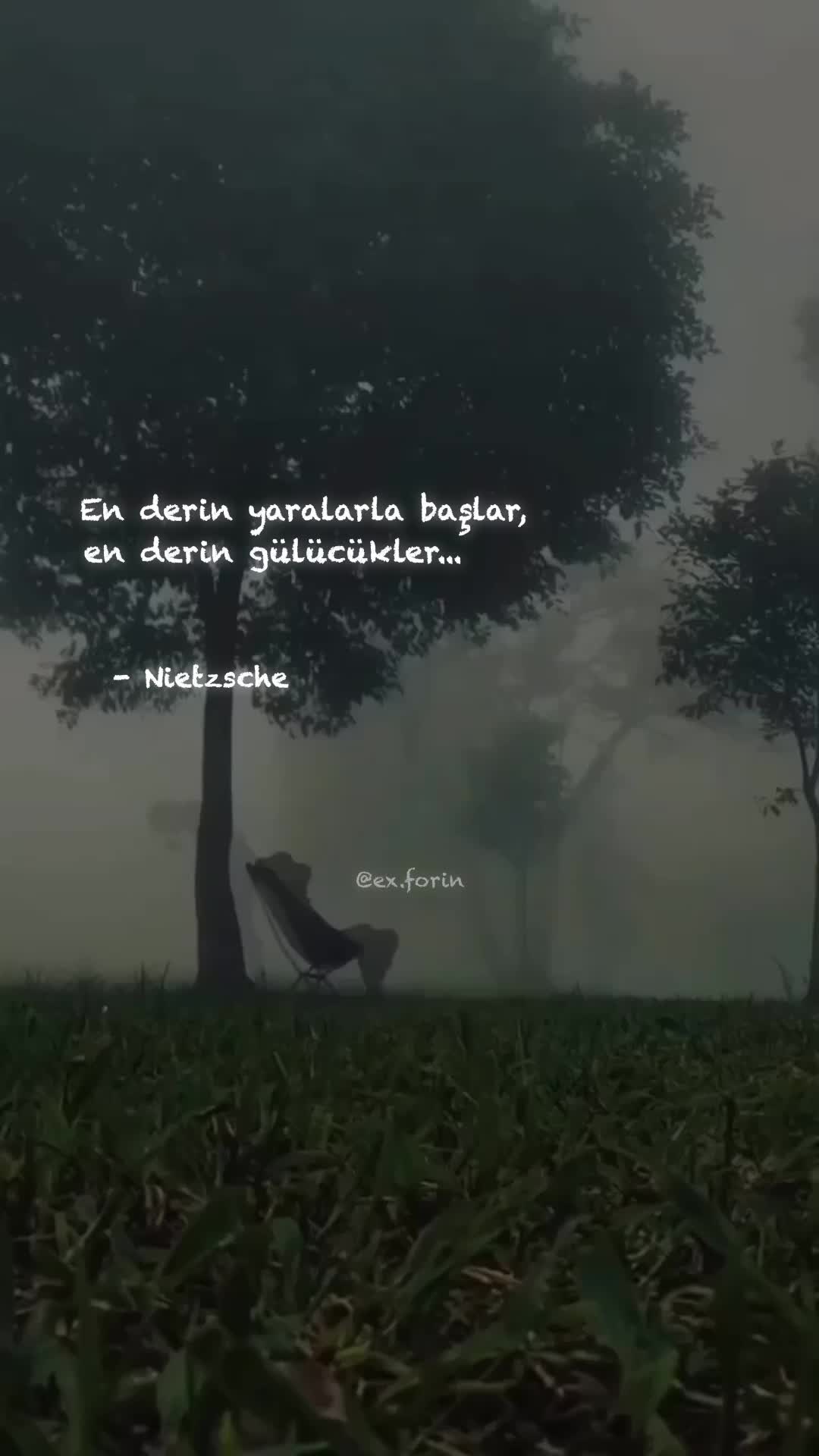 @exforin