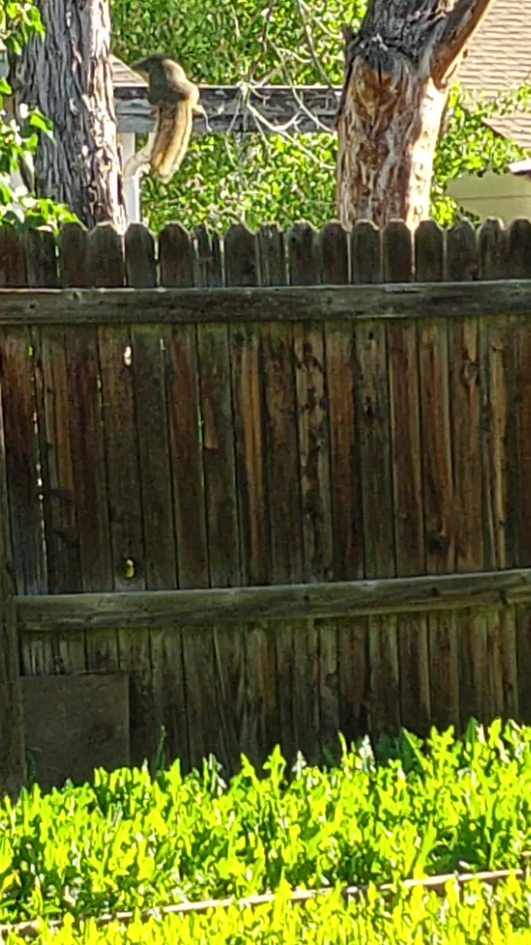 @zero.colorado