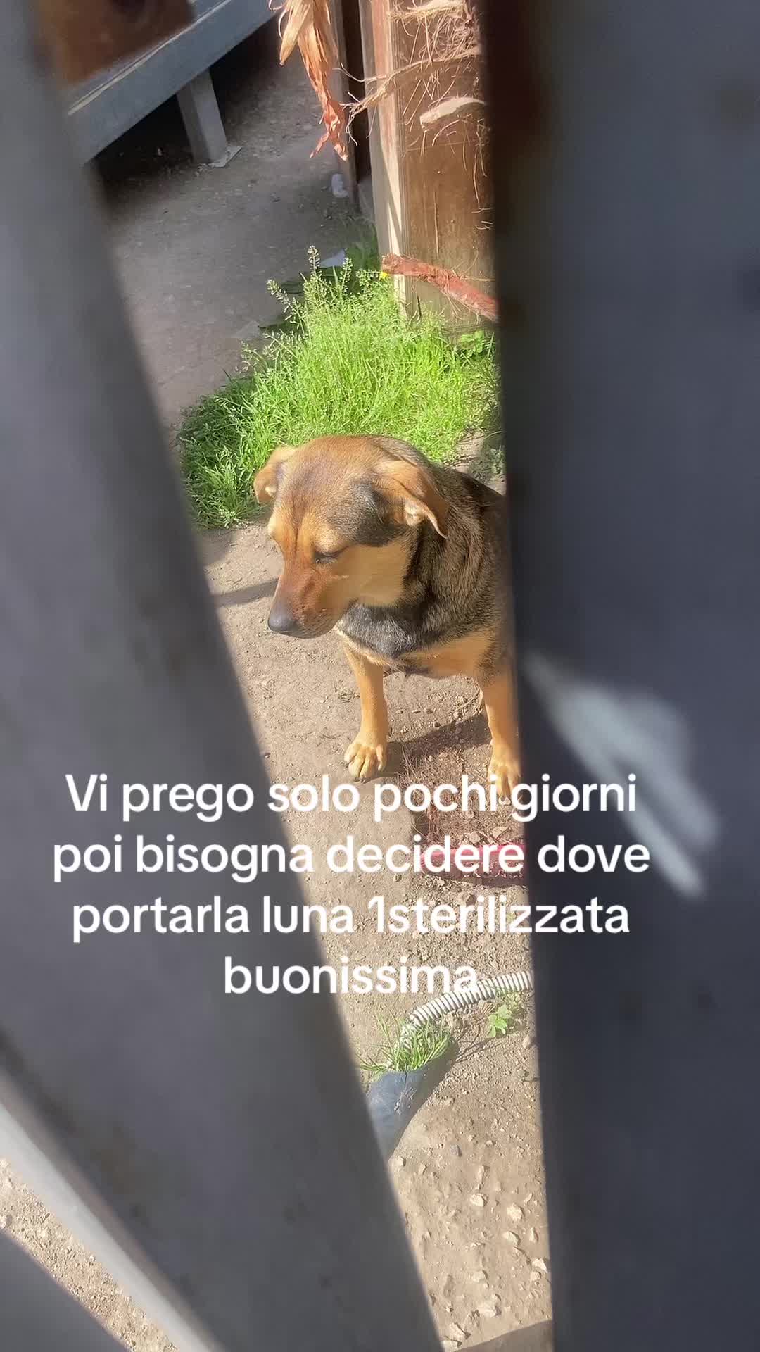 @Gina Boccia
