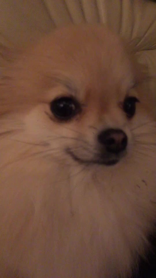 @Ich