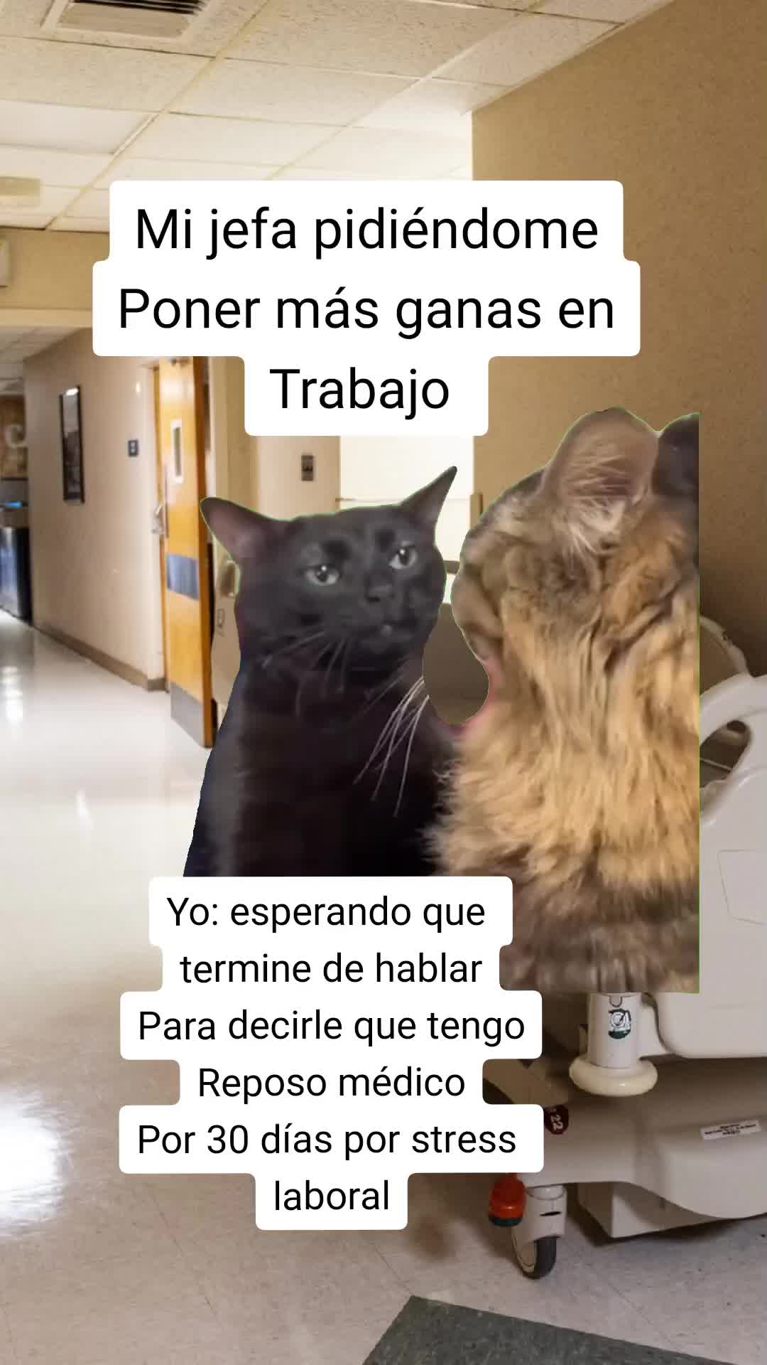 @Huguito