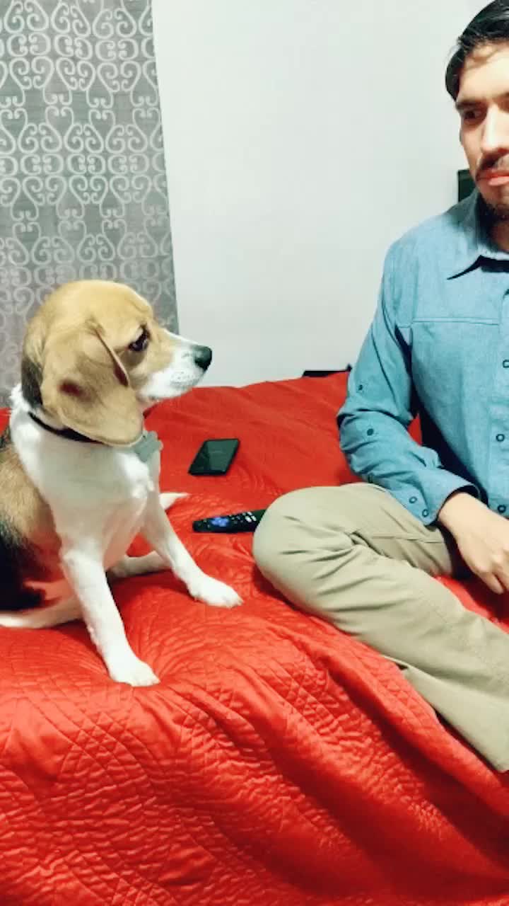 @Zezima