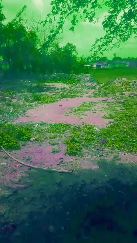 @Vijay Nagesh