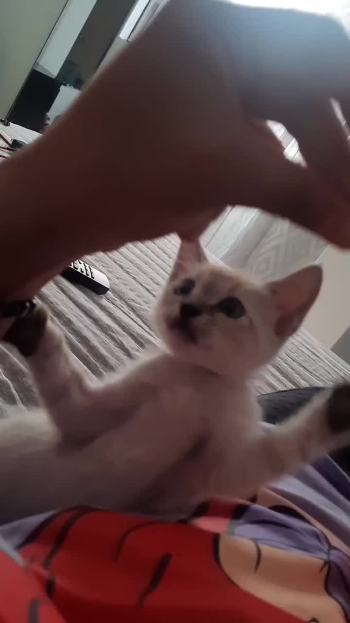 @rei_______01