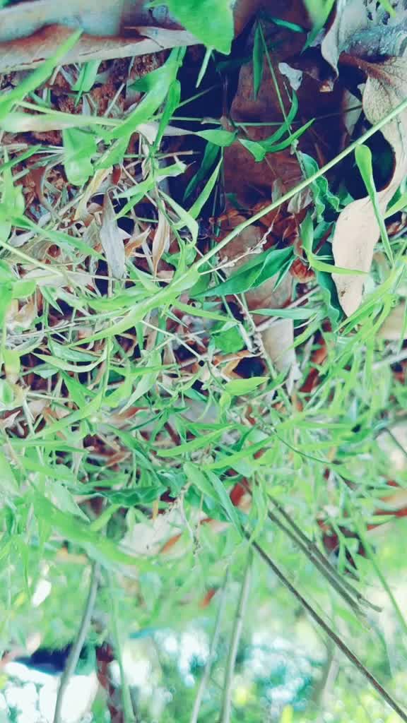 @💞রাফছান আহেমেদ 💞🥵🥵