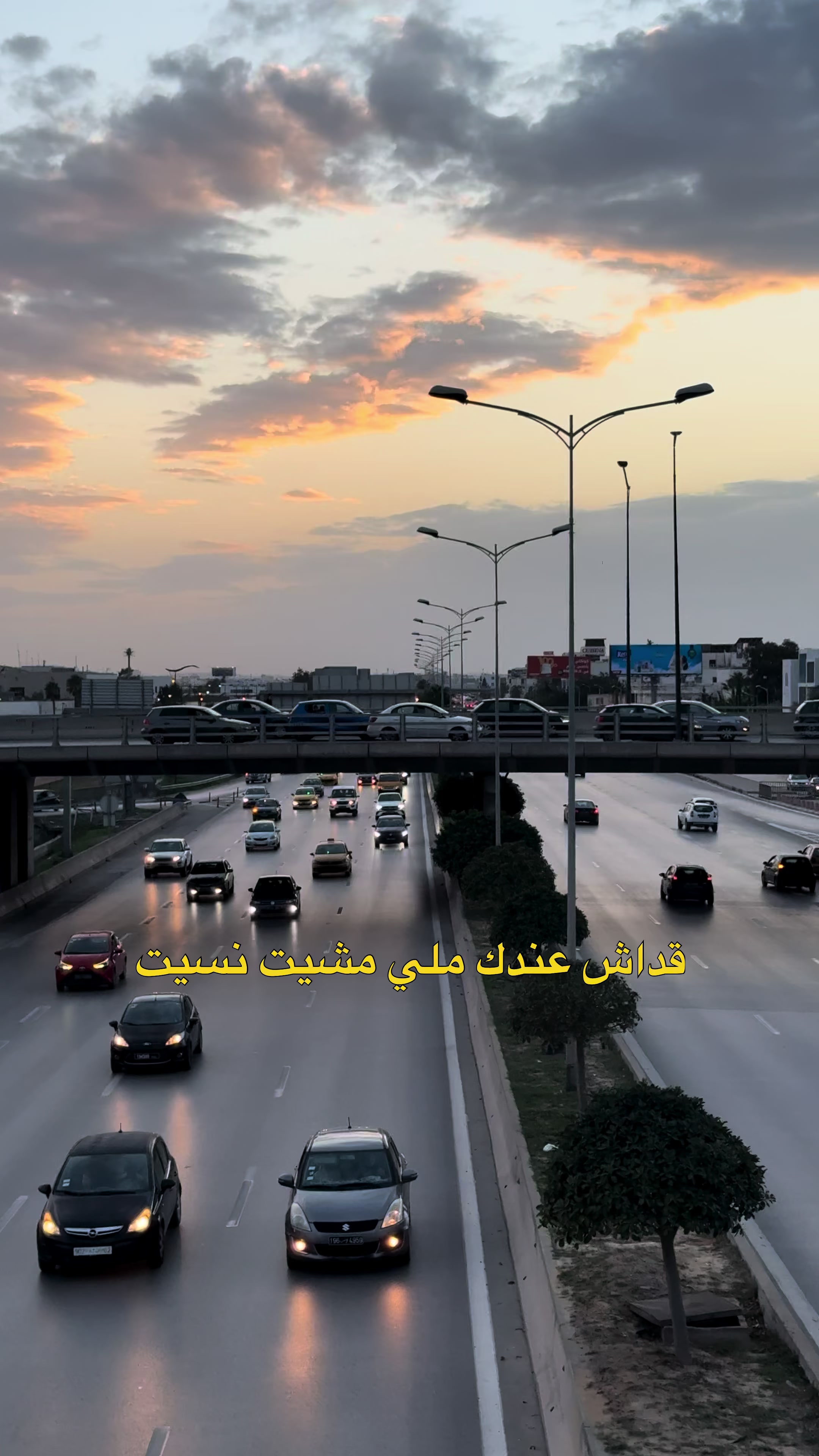 @abidelli mouhamed