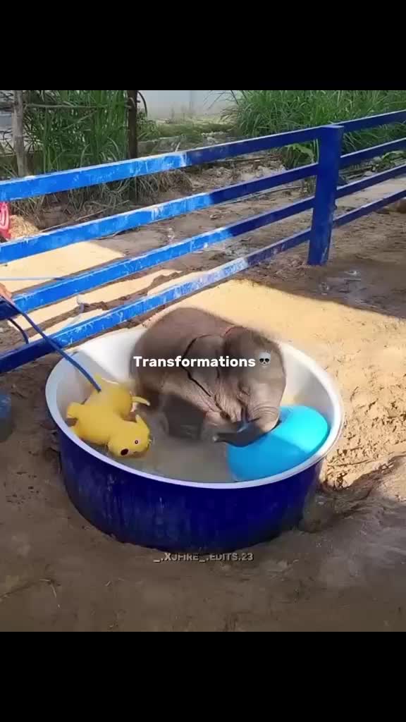 @AP