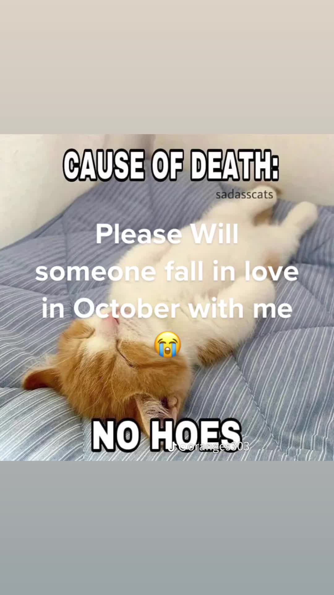 @Sammy Dude