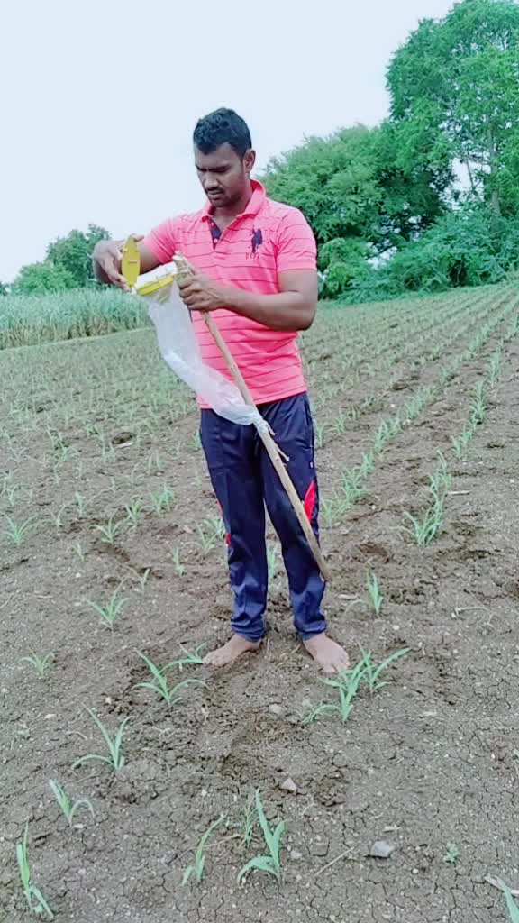 @Hemant Shewale