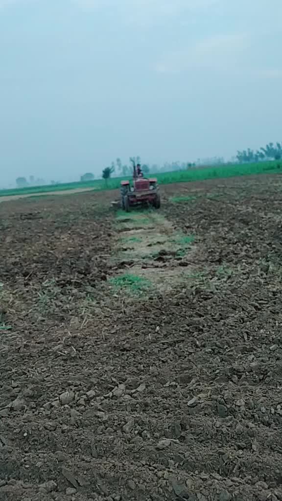 @aadi Gadariya