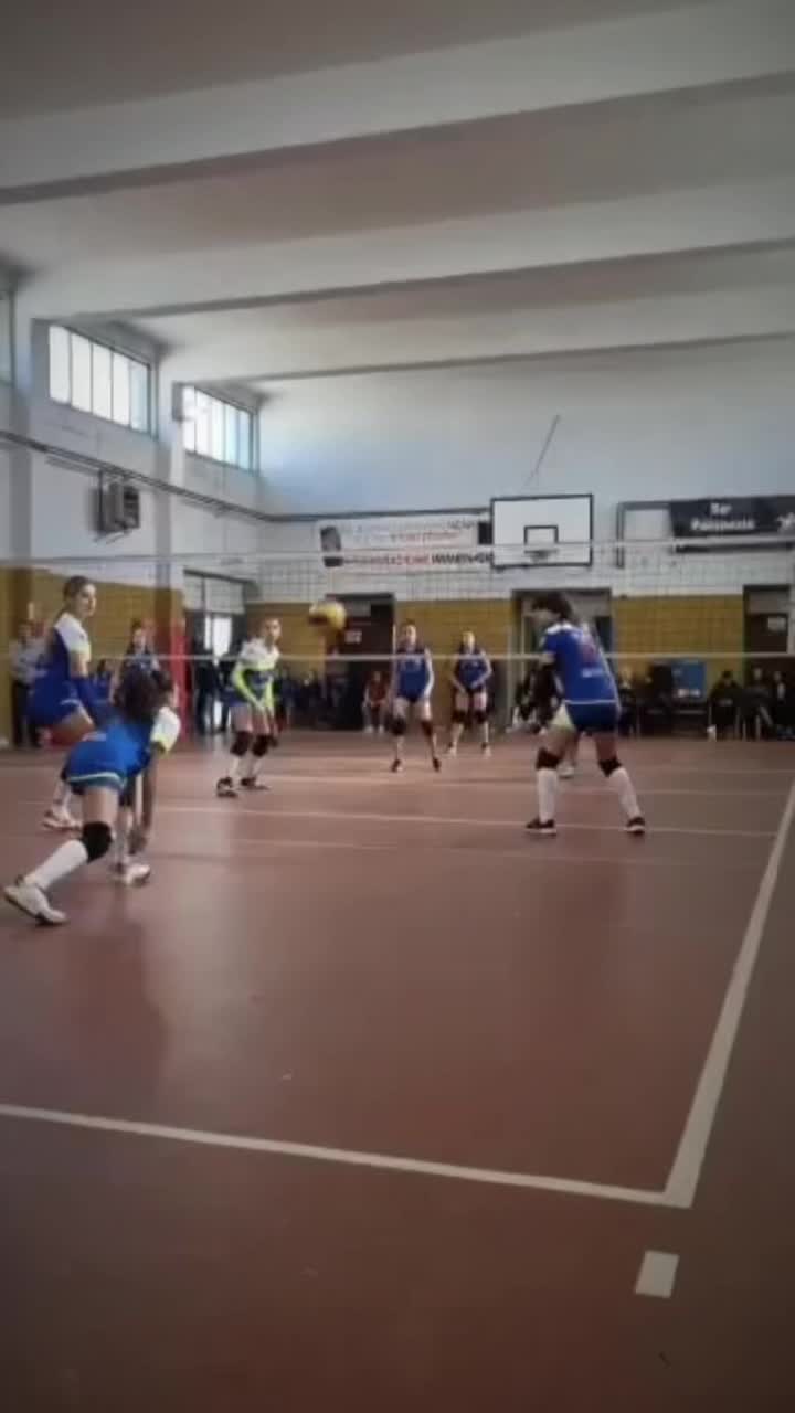 @new volley ๐๐๐