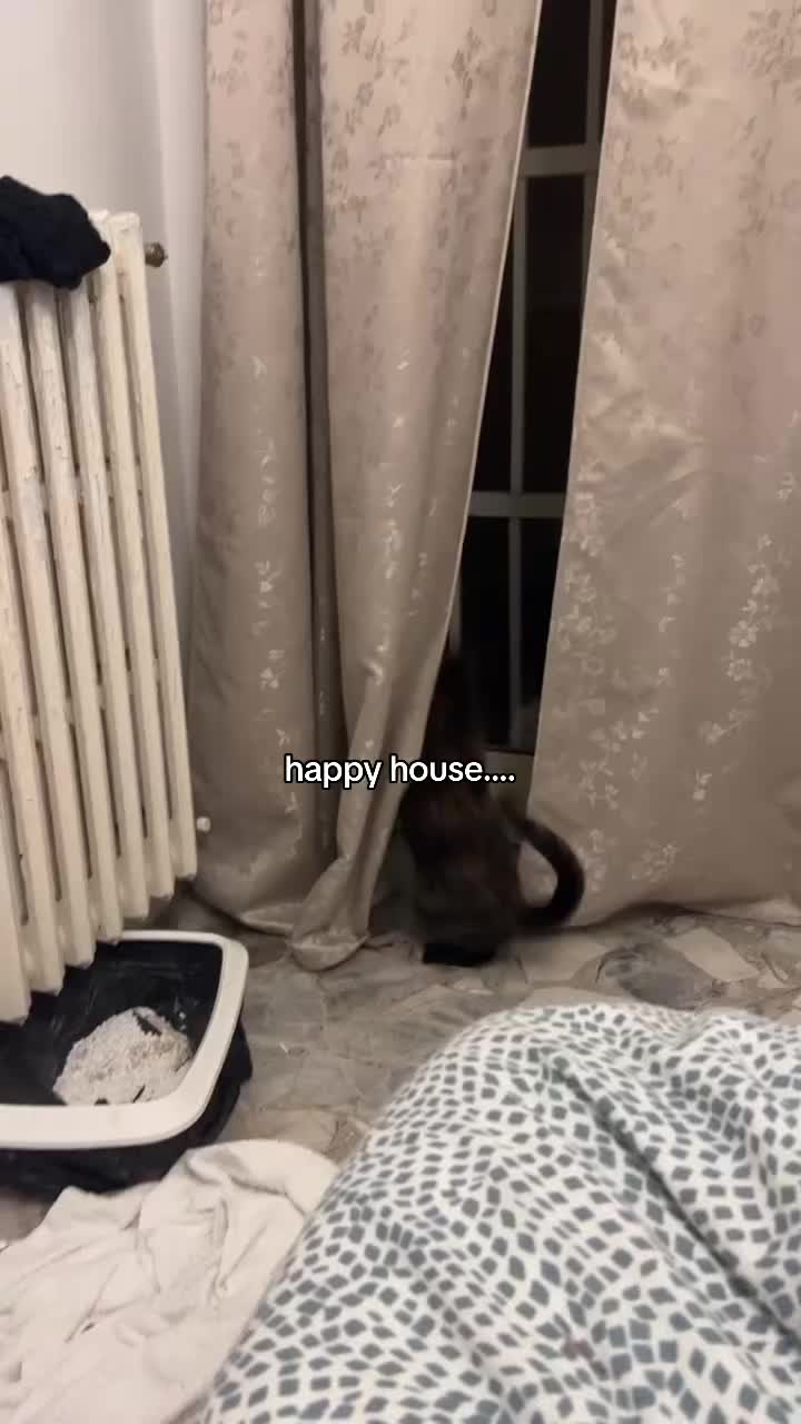 @sacremin0u