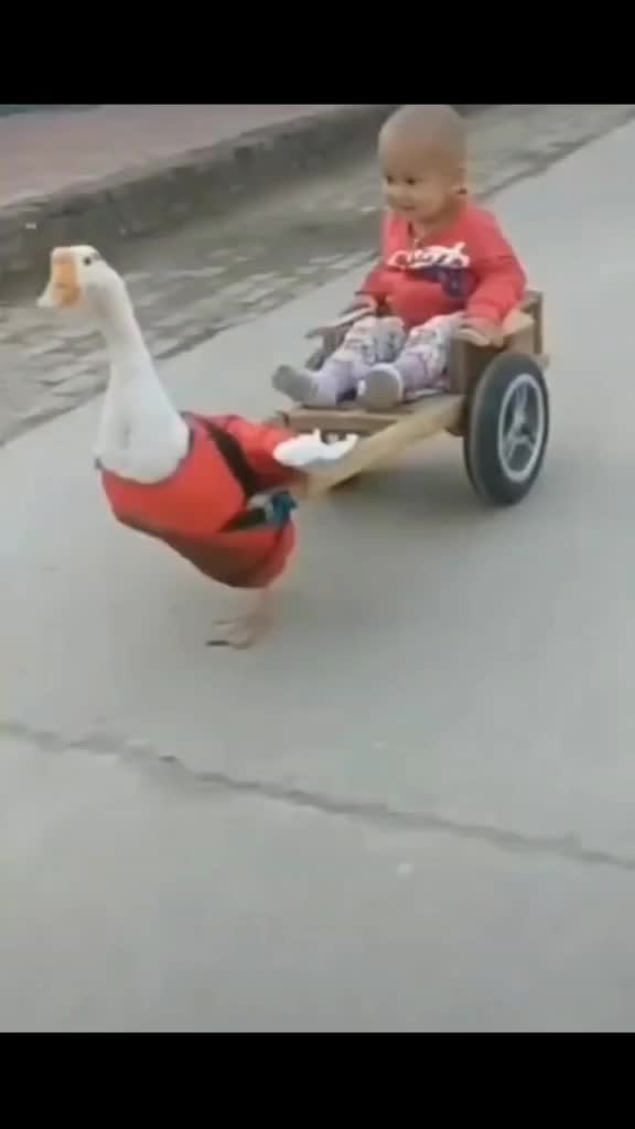 @Lalu Lalu