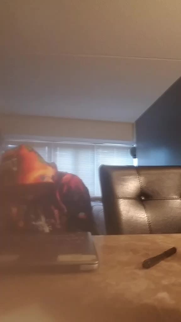 @Nazologybtw