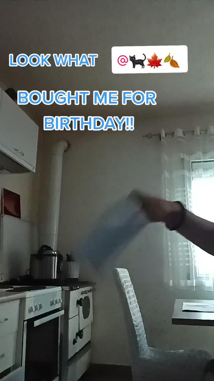 @🪳