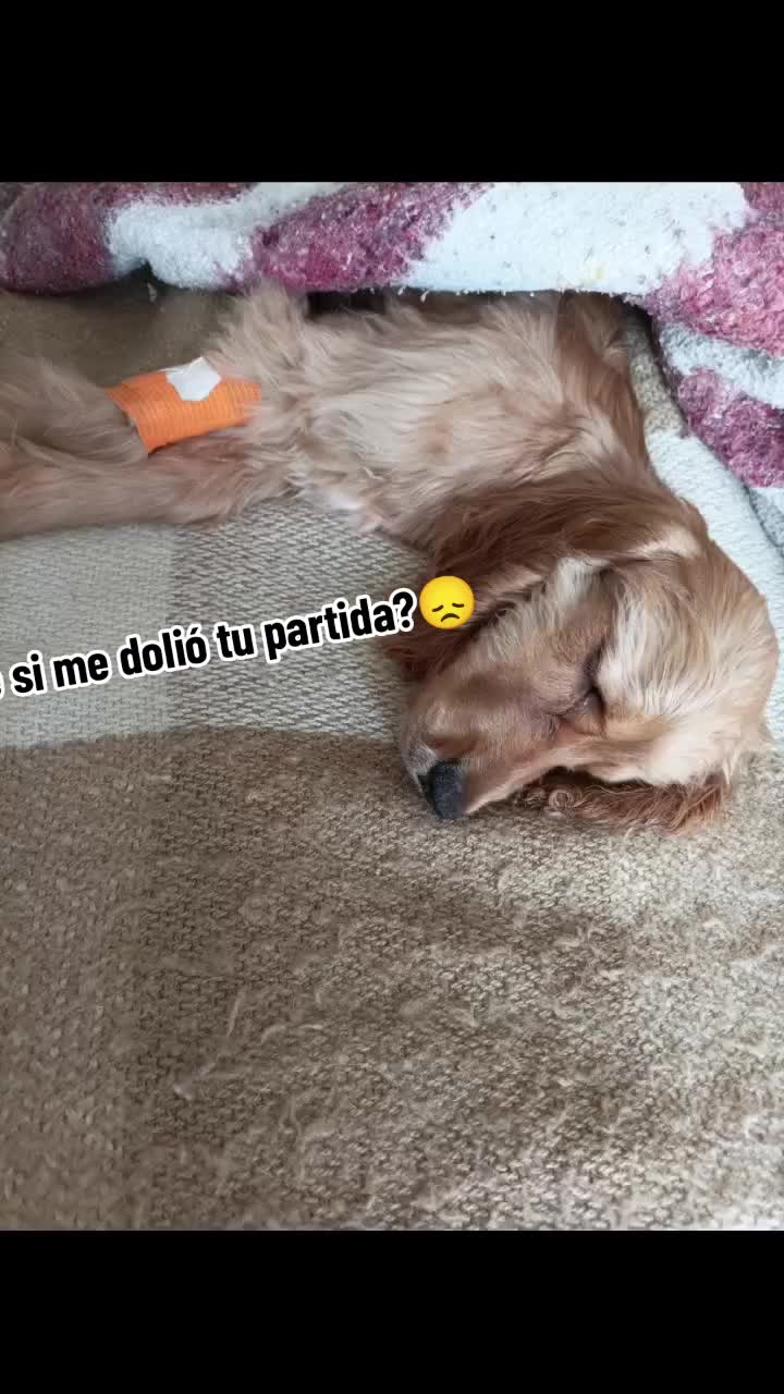 @Michelle511👾