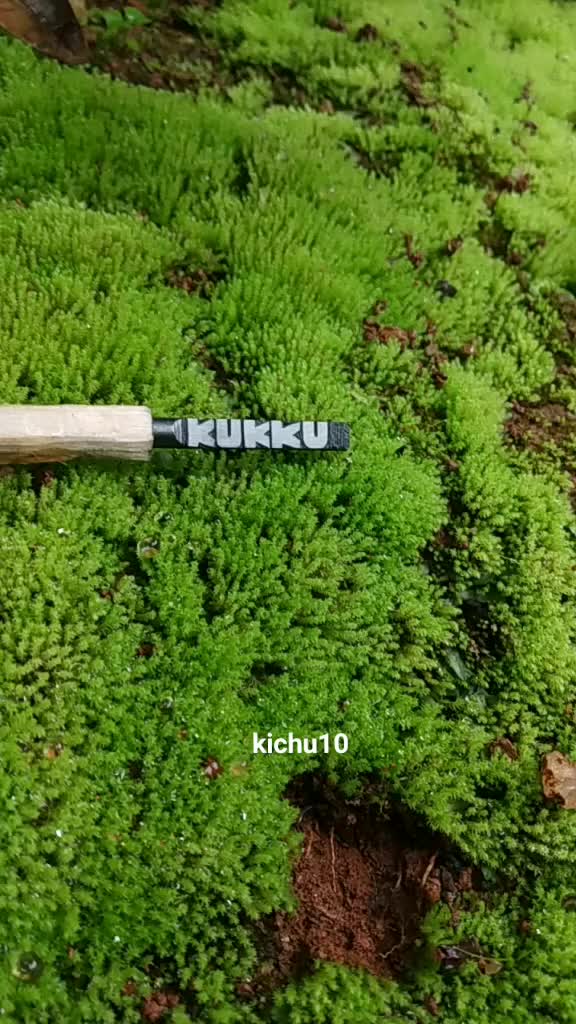 @kichu10