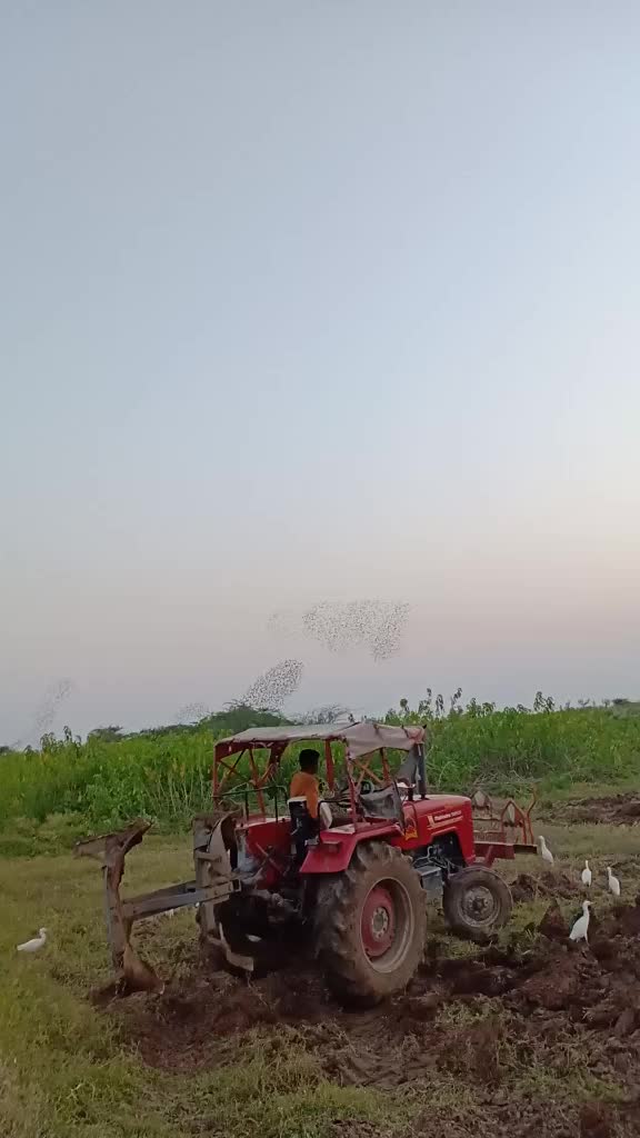 @Rider 🏍️8712🏍️