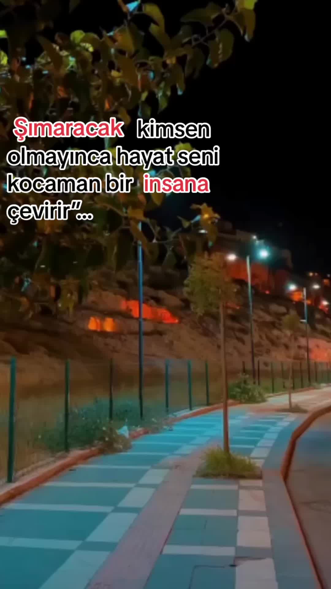 @kardelen