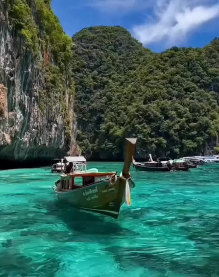 @liongho