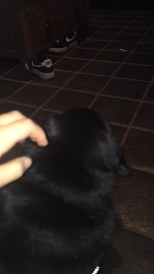 @smaus