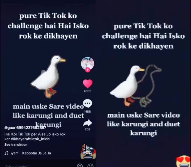 @gunjan pahwa