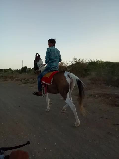 @Abhay jambliya