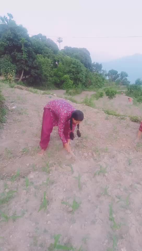 @Kavita Samant