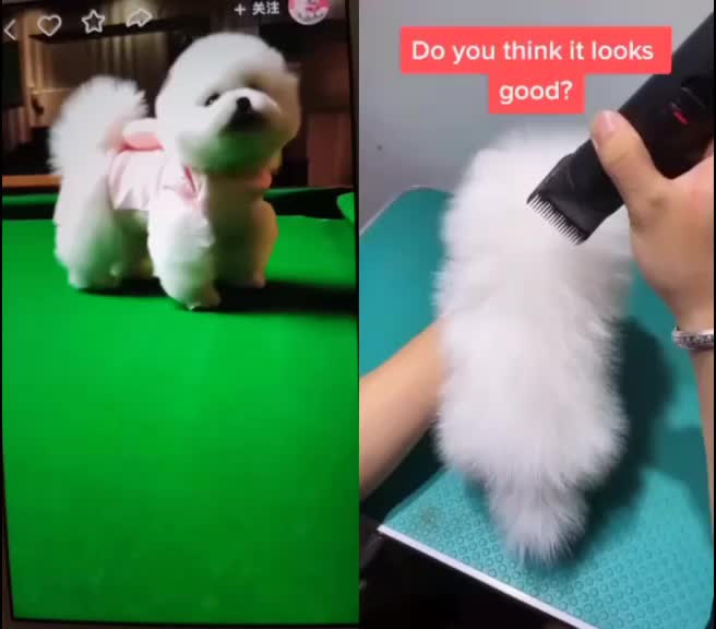 @wutao11059