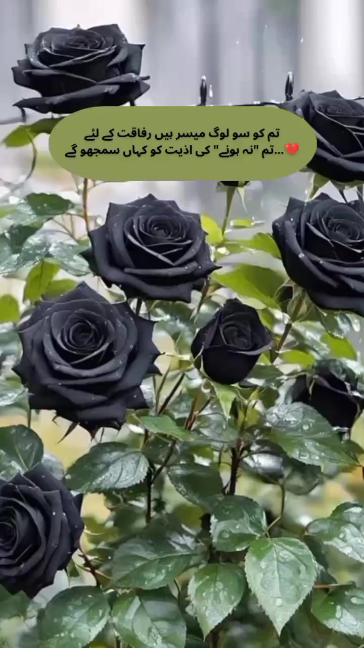 @🥀