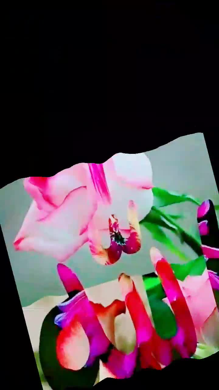 @sanakhan