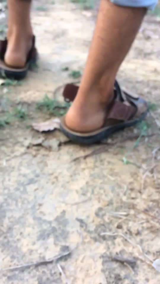 @Ravikantsharma