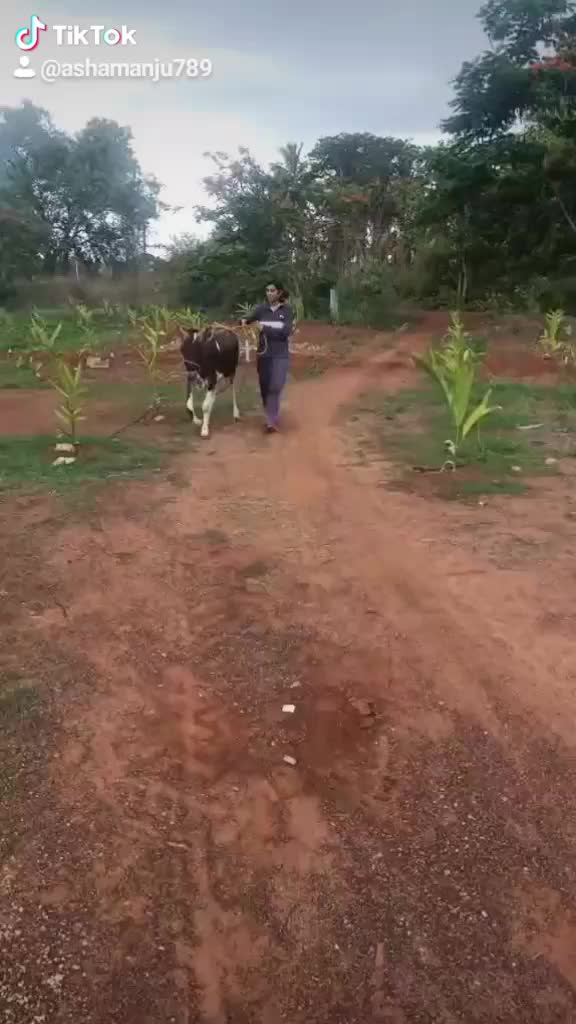@🌴ರಾಣಿಗಿರಿ ರೈತ 🌴
