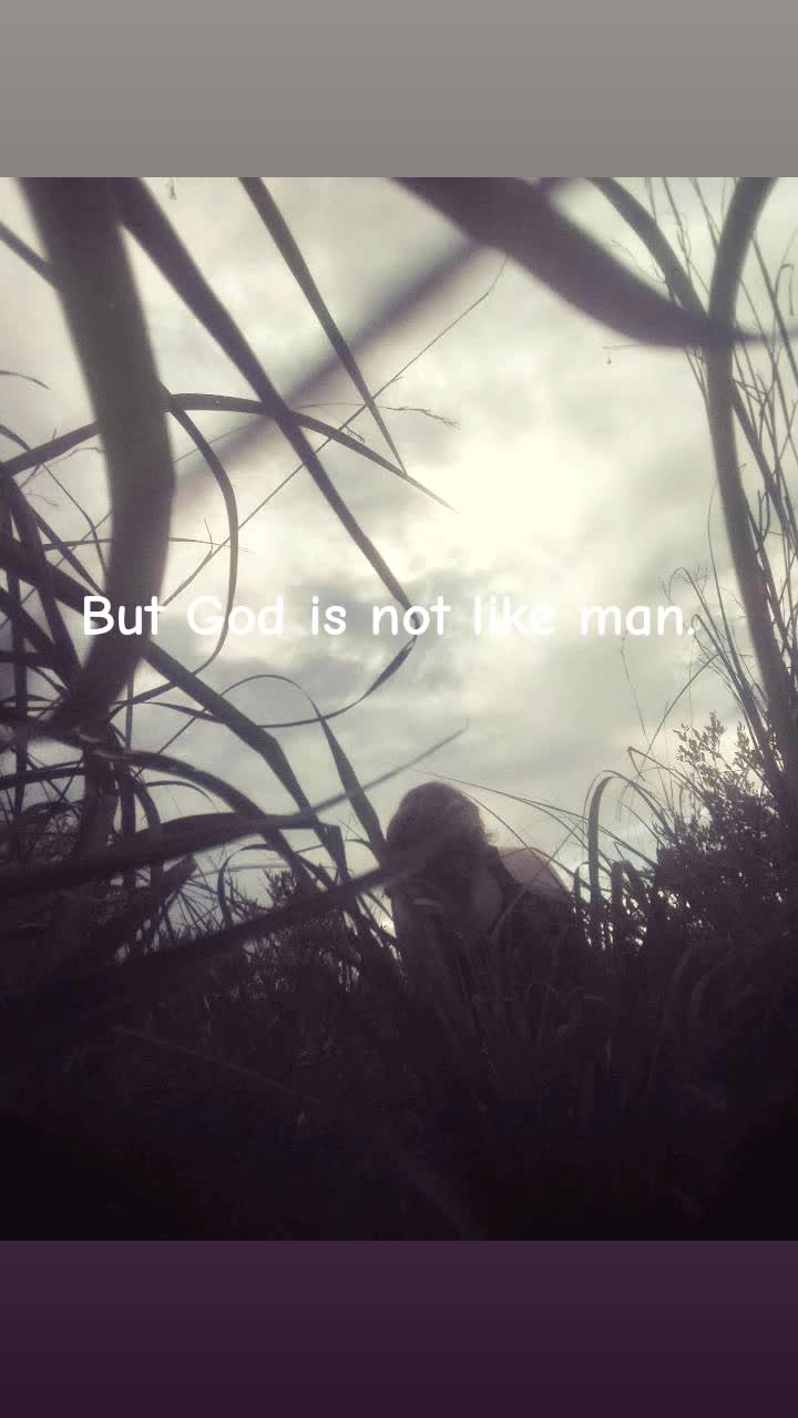 @M.J.A Serfontein