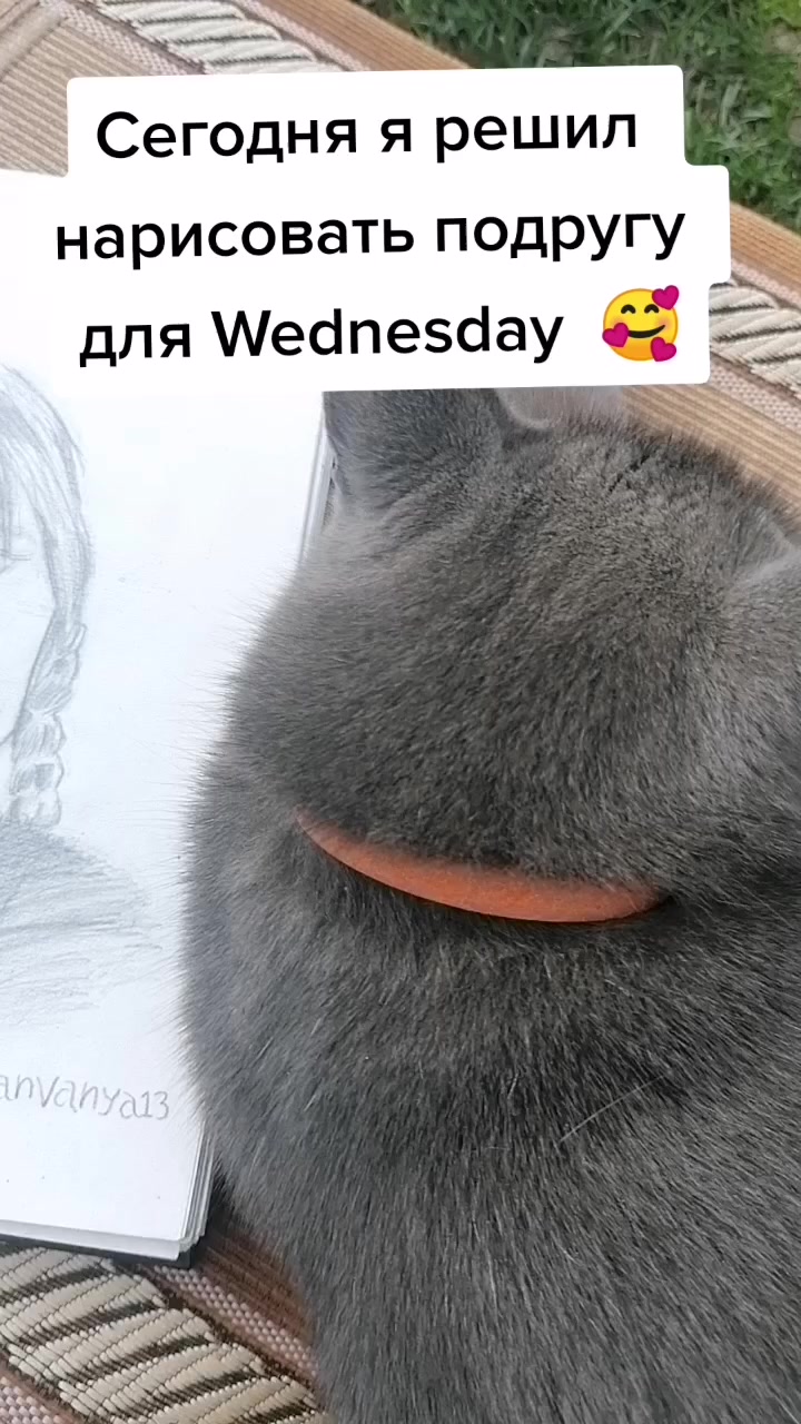 @VanVanya