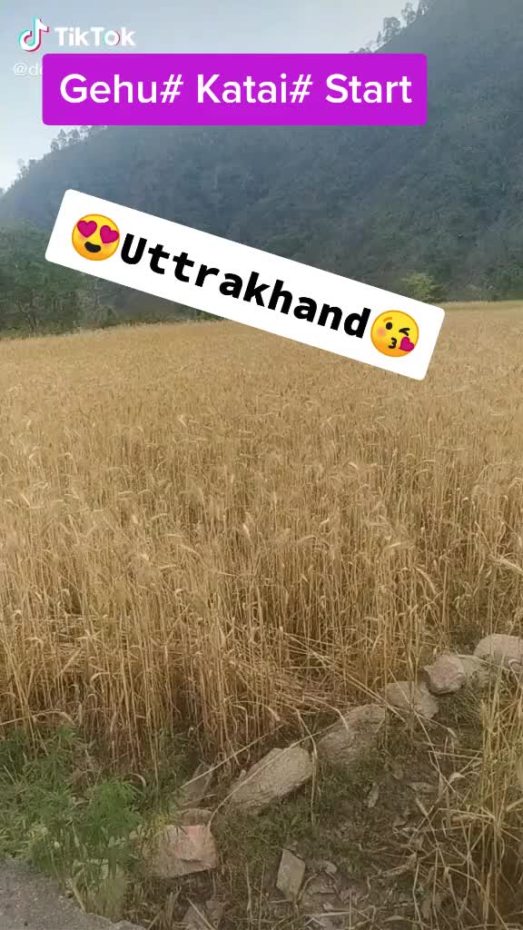 @Åkhíl Rãjpüt ( CHiKU