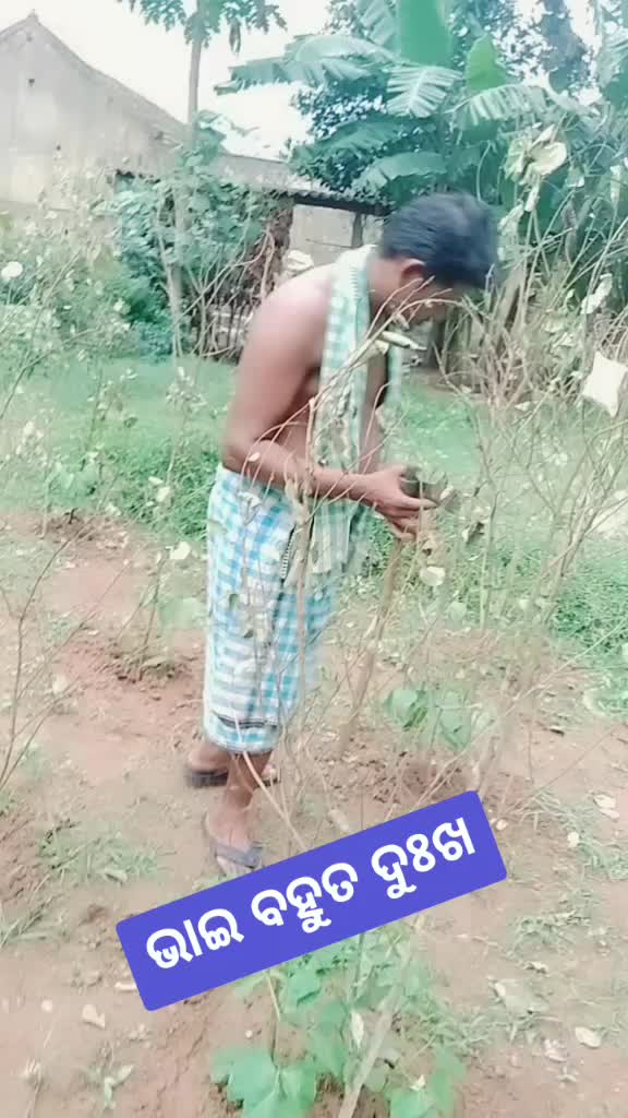 @Rajib Sahoo