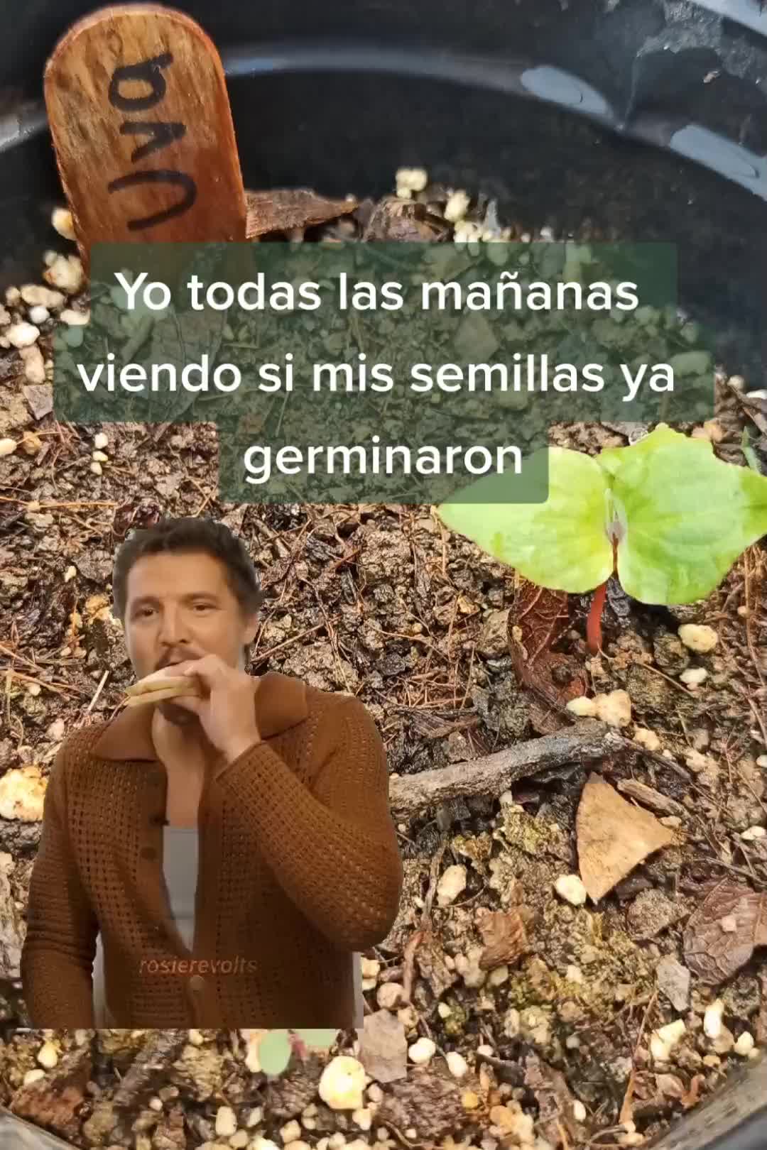 @Local Garden Mty