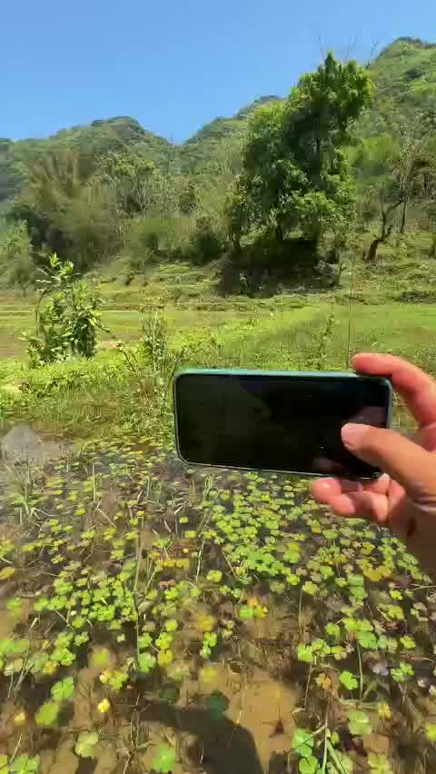 @Mhasamuv.3