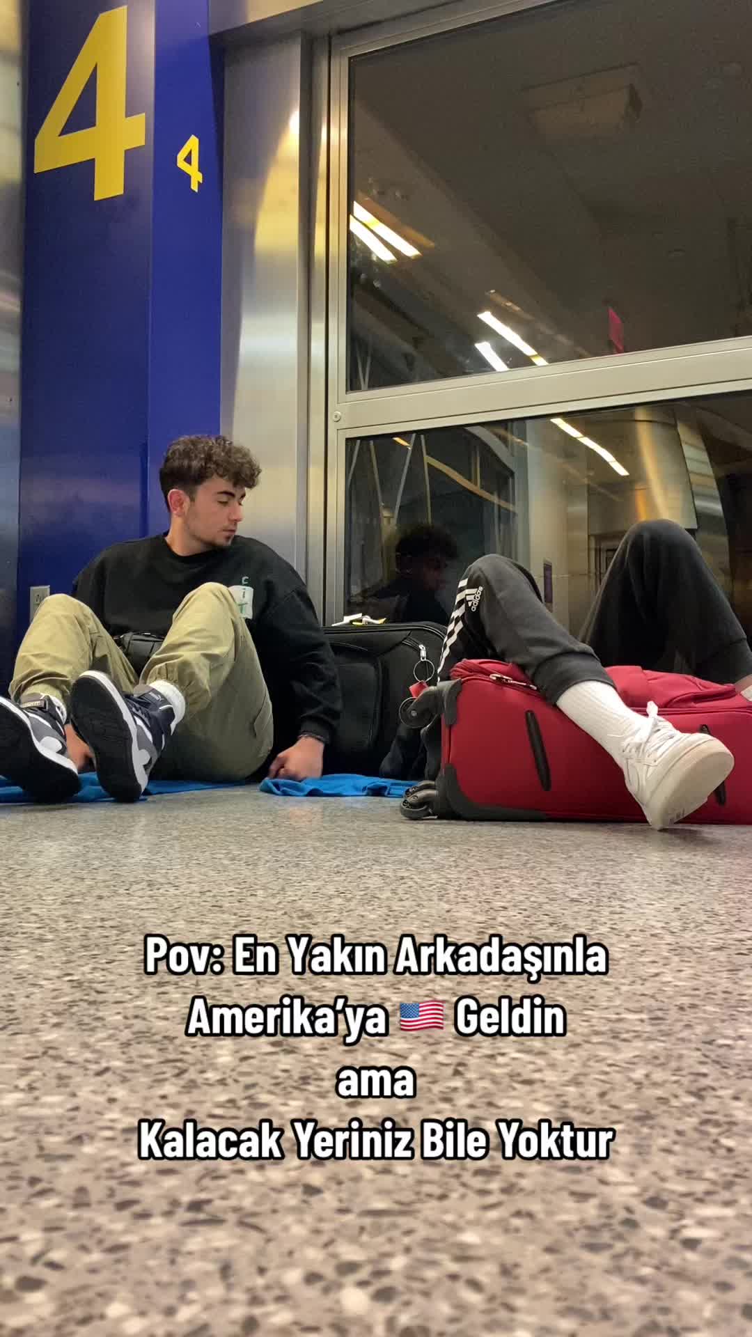 @Xenesdogan