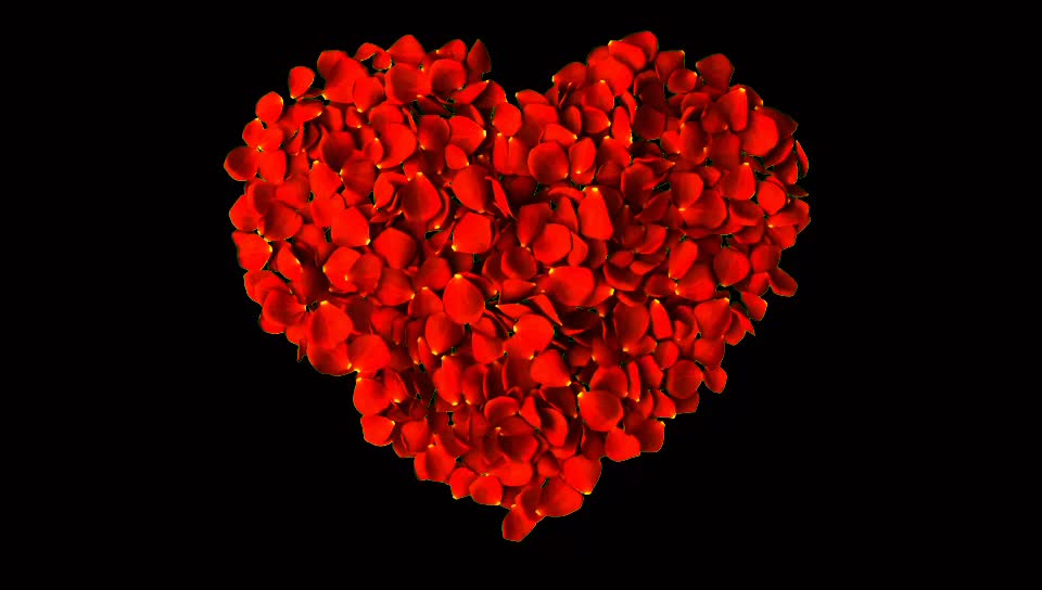 @hiran