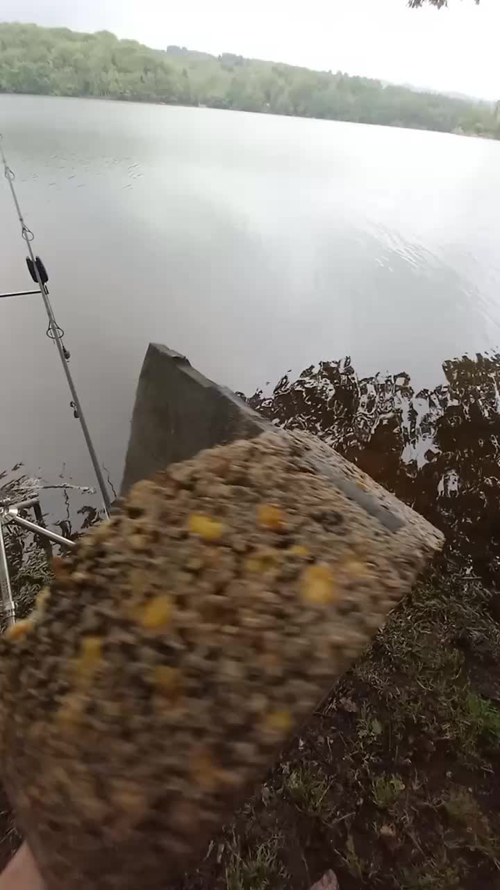 @Passion Carp'Sauvage