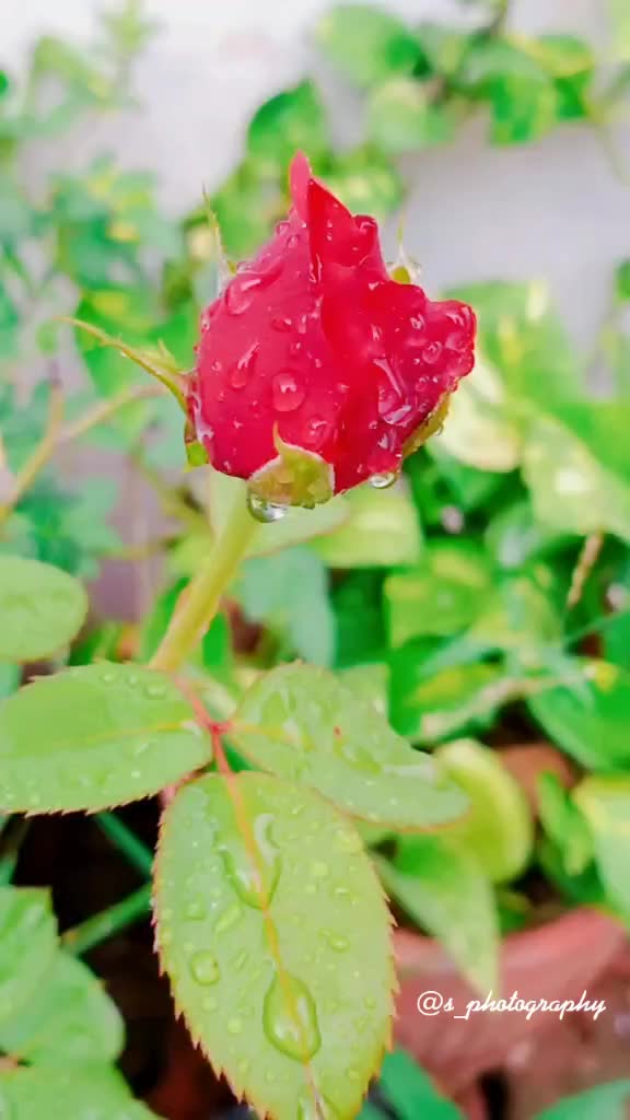 @happy_soul