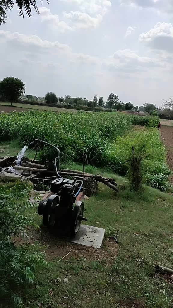 @user37808352062