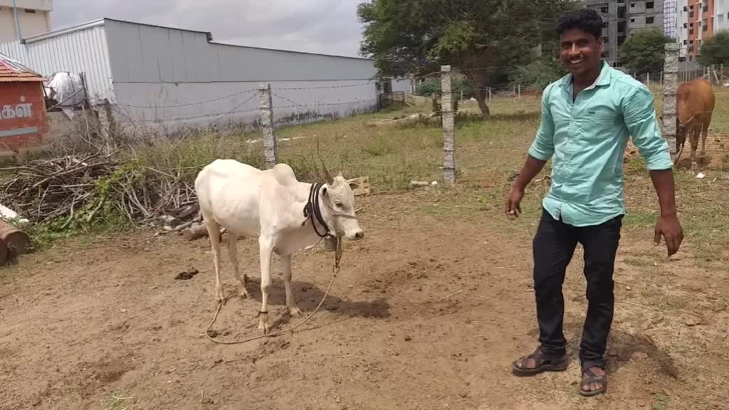 @muthukumarmlt2015@gm