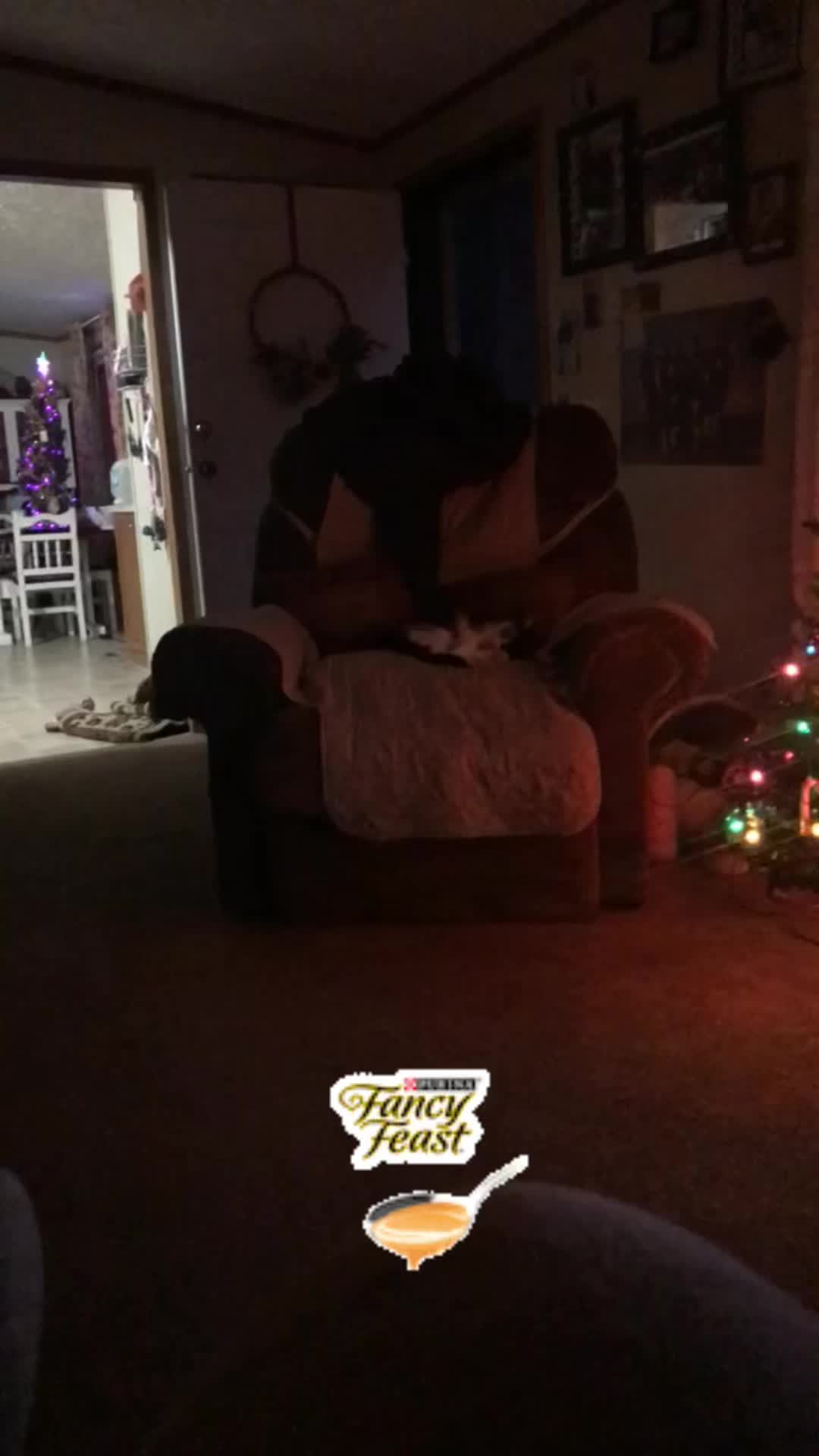 @Graciebby24