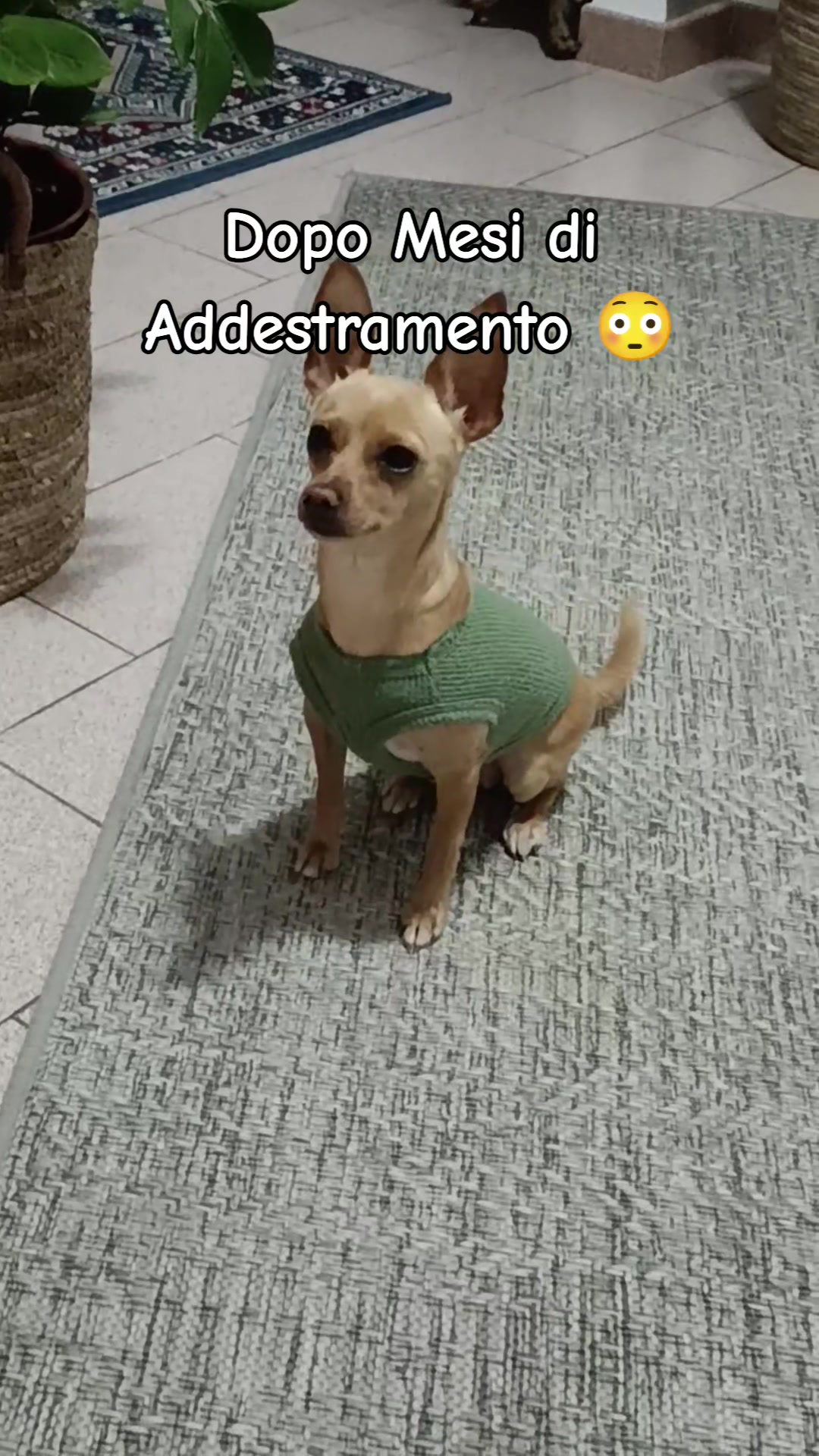 @Kira_at_mom