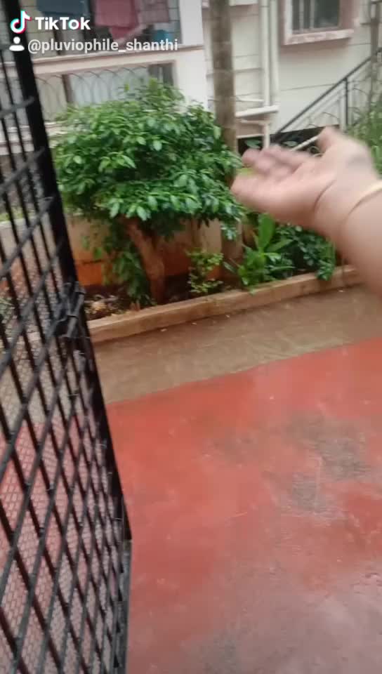 @@pluviophile_shanthi