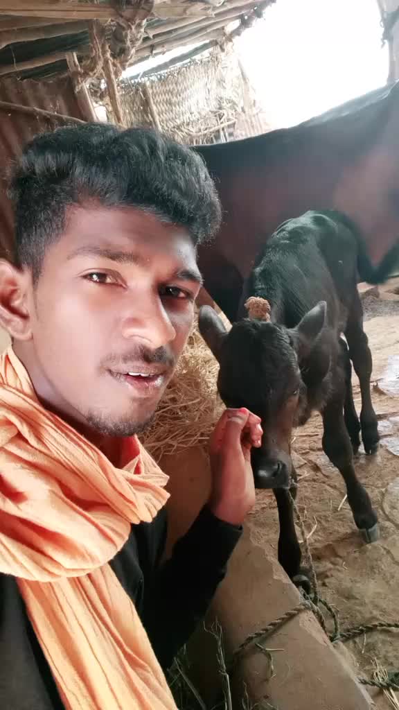 @TN60NaturalKing