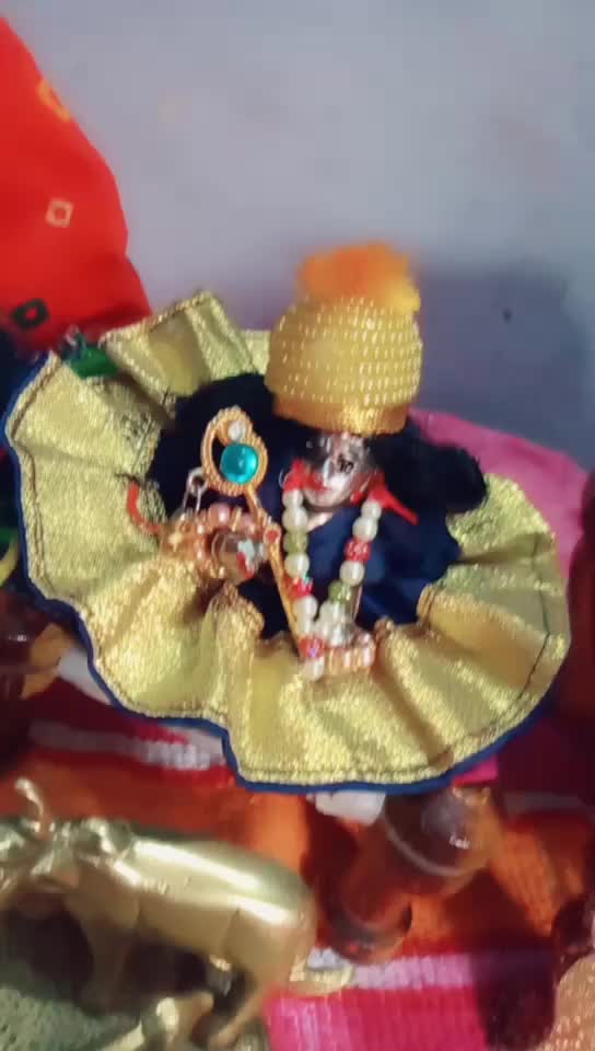 @Kashvi Thakur